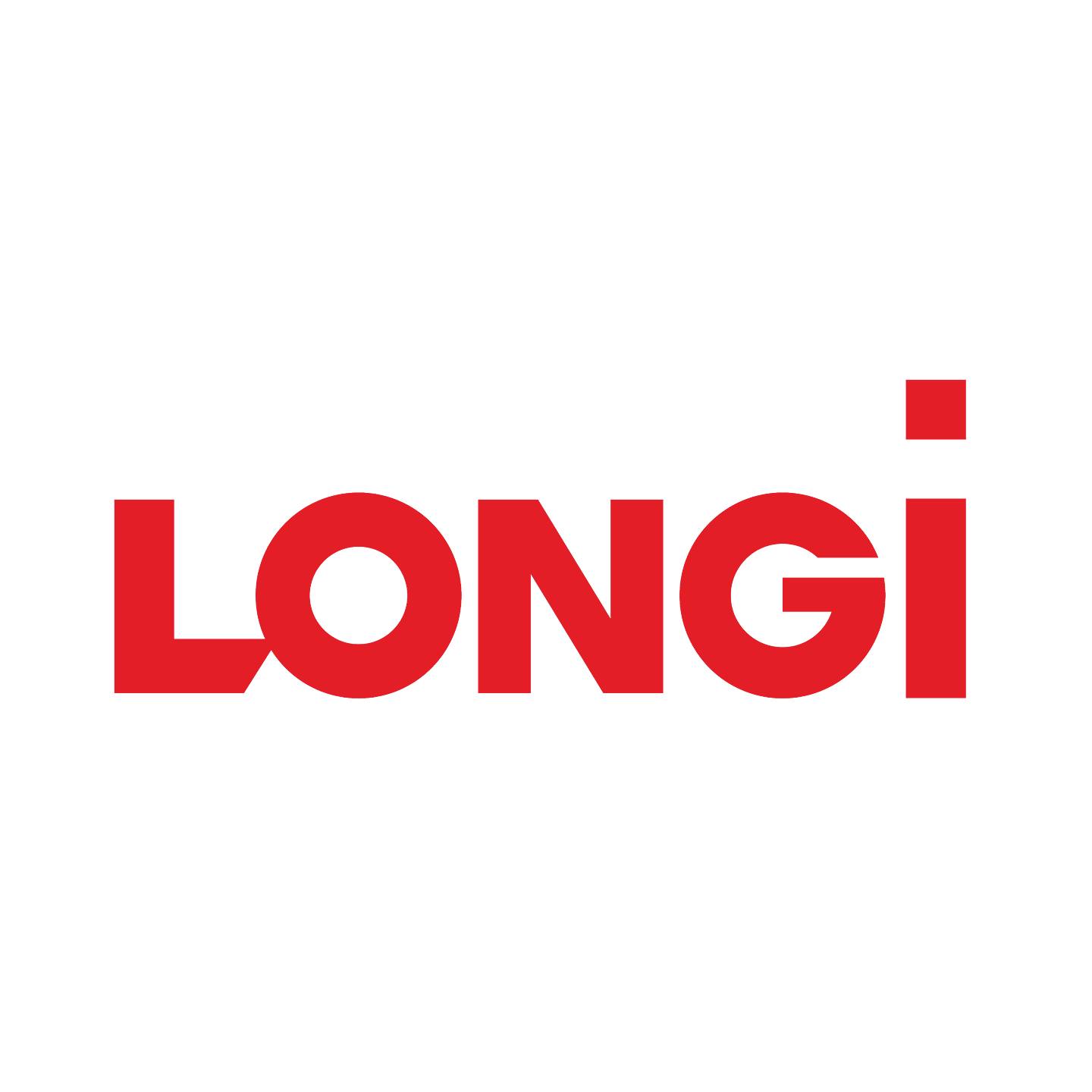 EMSO-Partneri_LONGI_logo